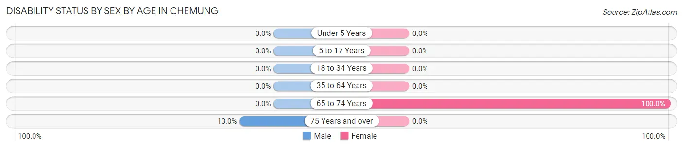 Disability Status by Sex by Age in Chemung