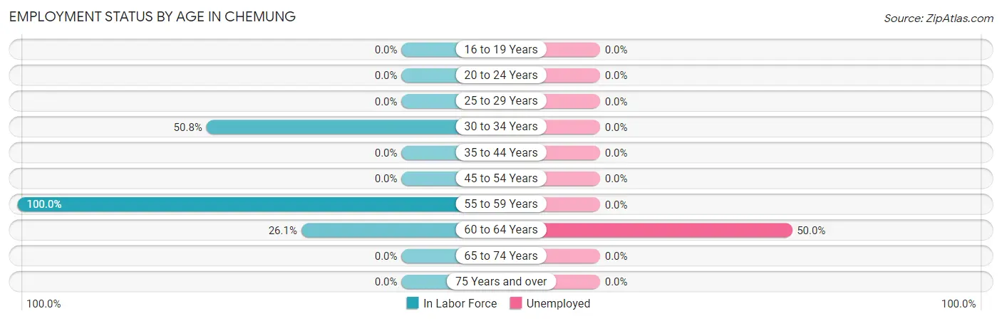 Employment Status by Age in Chemung