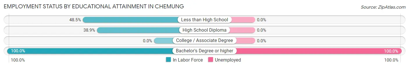 Employment Status by Educational Attainment in Chemung