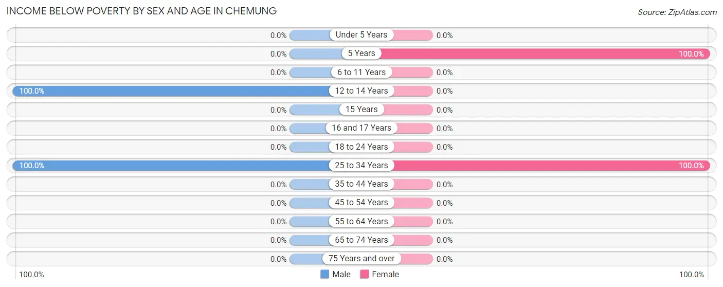 Income Below Poverty by Sex and Age in Chemung