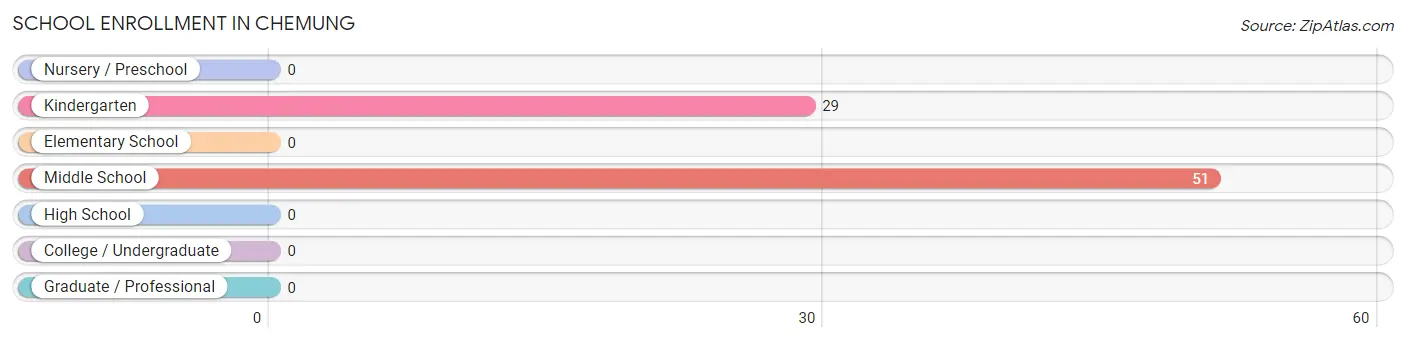 School Enrollment in Chemung