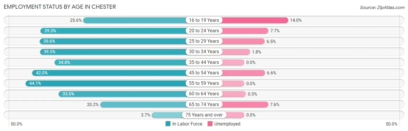 Employment Status by Age in Chester