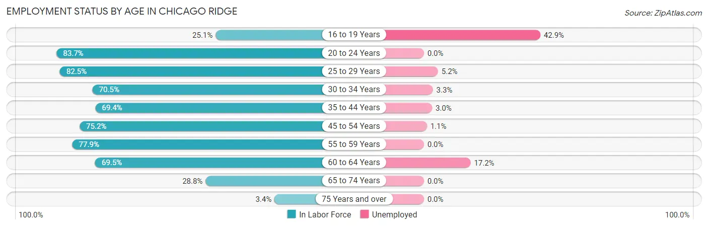 Employment Status by Age in Chicago Ridge