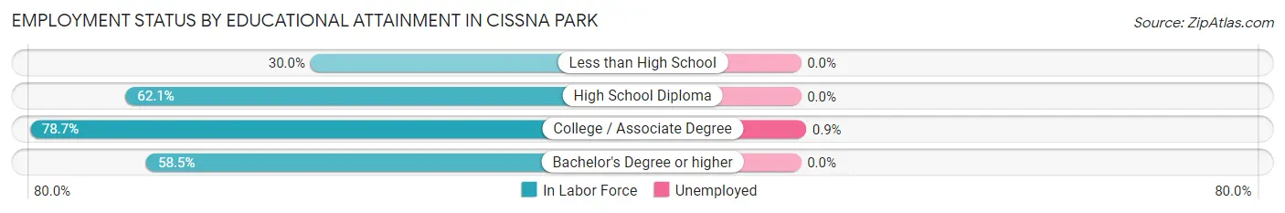 Employment Status by Educational Attainment in Cissna Park