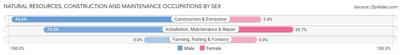 Natural Resources, Construction and Maintenance Occupations by Sex in Clinton