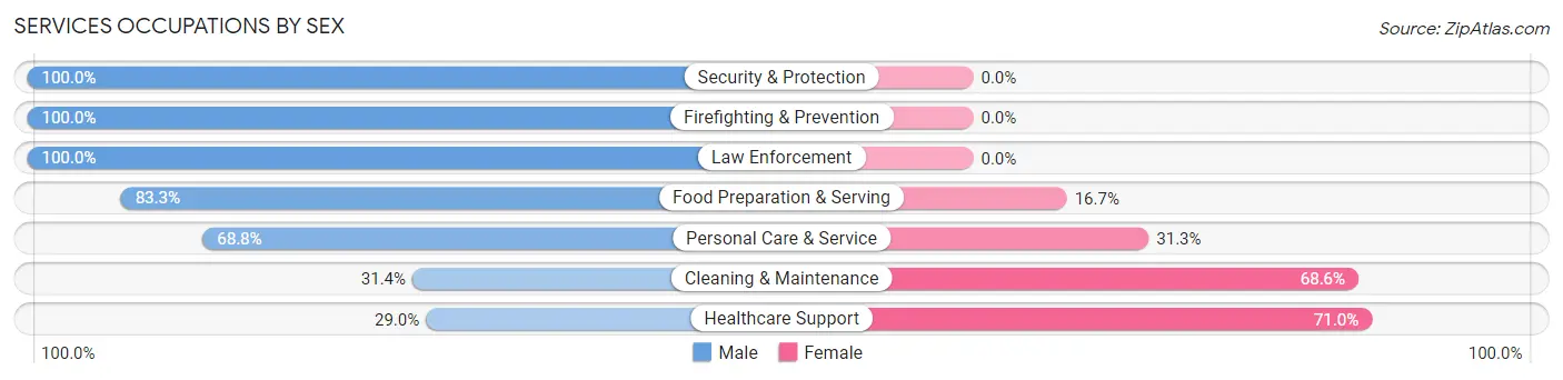 Services Occupations by Sex in Coal Valley