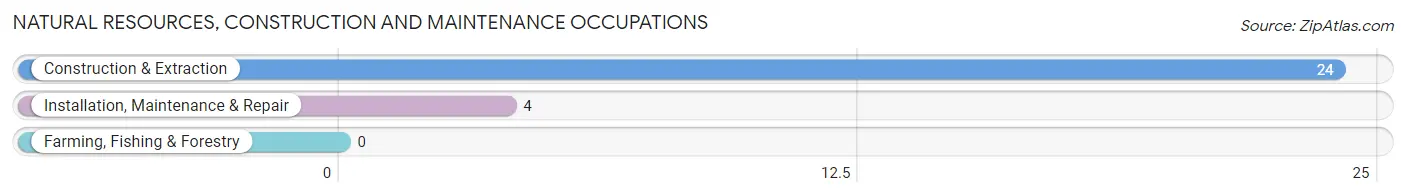 Natural Resources, Construction and Maintenance Occupations in Coalton