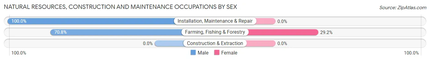 Natural Resources, Construction and Maintenance Occupations by Sex in Colchester