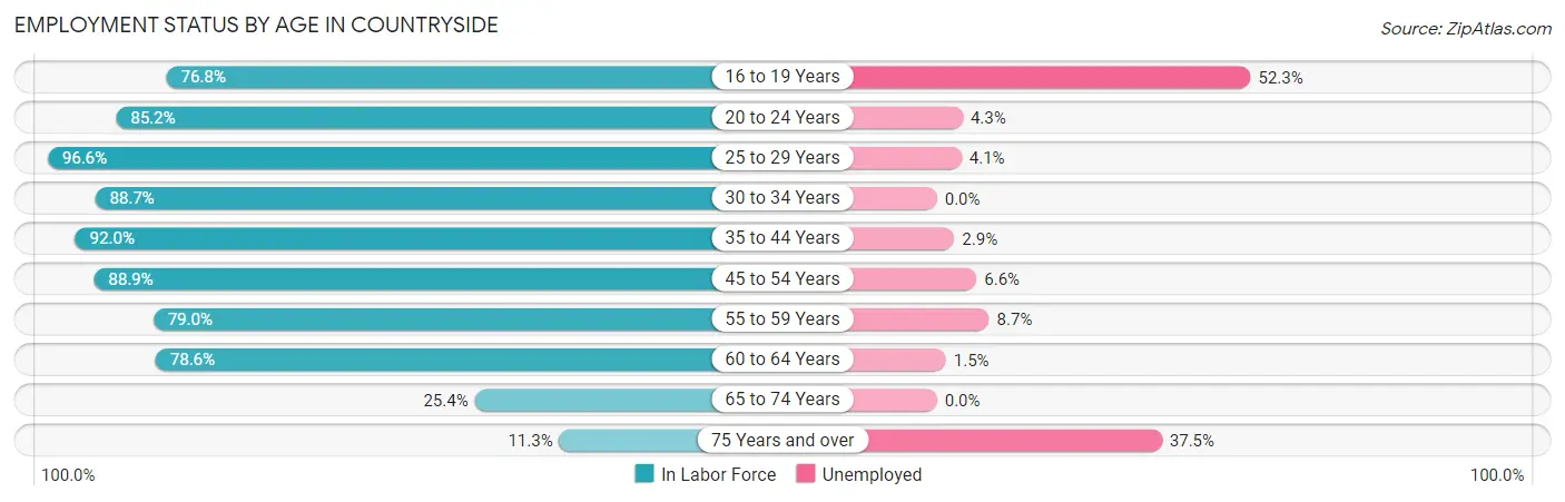 Employment Status by Age in Countryside