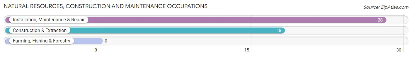 Natural Resources, Construction and Maintenance Occupations in Creal Springs