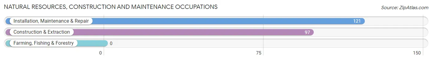 Natural Resources, Construction and Maintenance Occupations in Creve Coeur