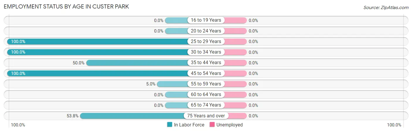 Employment Status by Age in Custer Park