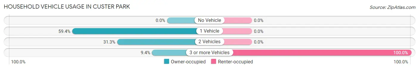 Household Vehicle Usage in Custer Park