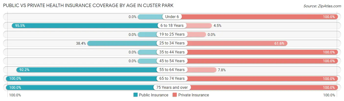 Public vs Private Health Insurance Coverage by Age in Custer Park