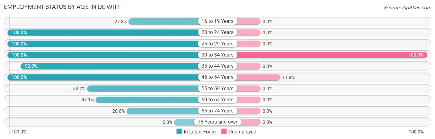 Employment Status by Age in De Witt