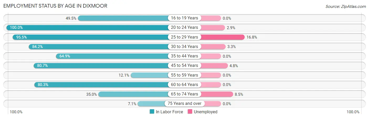 Employment Status by Age in Dixmoor