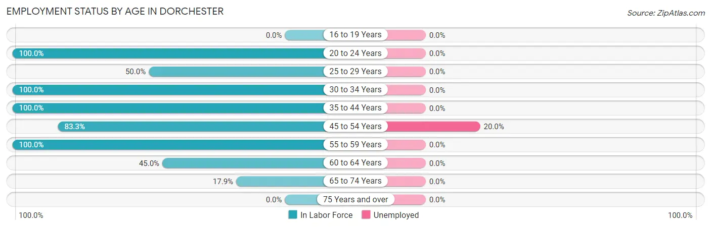 Employment Status by Age in Dorchester