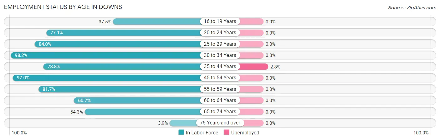 Employment Status by Age in Downs