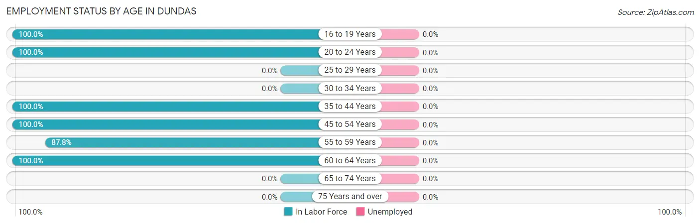 Employment Status by Age in Dundas