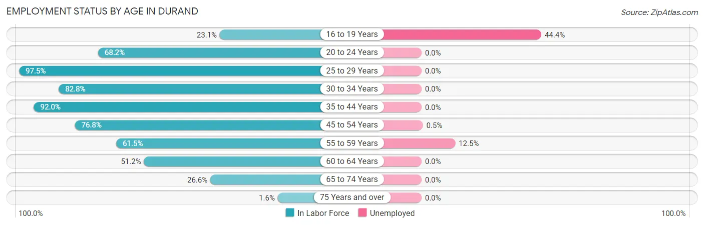 Employment Status by Age in Durand