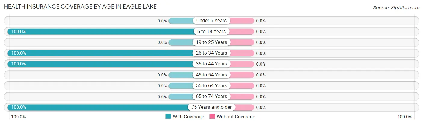 Health Insurance Coverage by Age in Eagle Lake