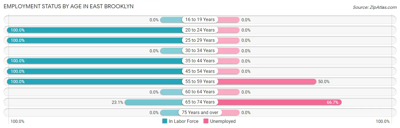 Employment Status by Age in East Brooklyn