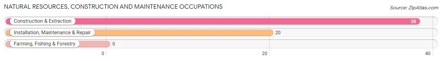 Natural Resources, Construction and Maintenance Occupations in East Dubuque