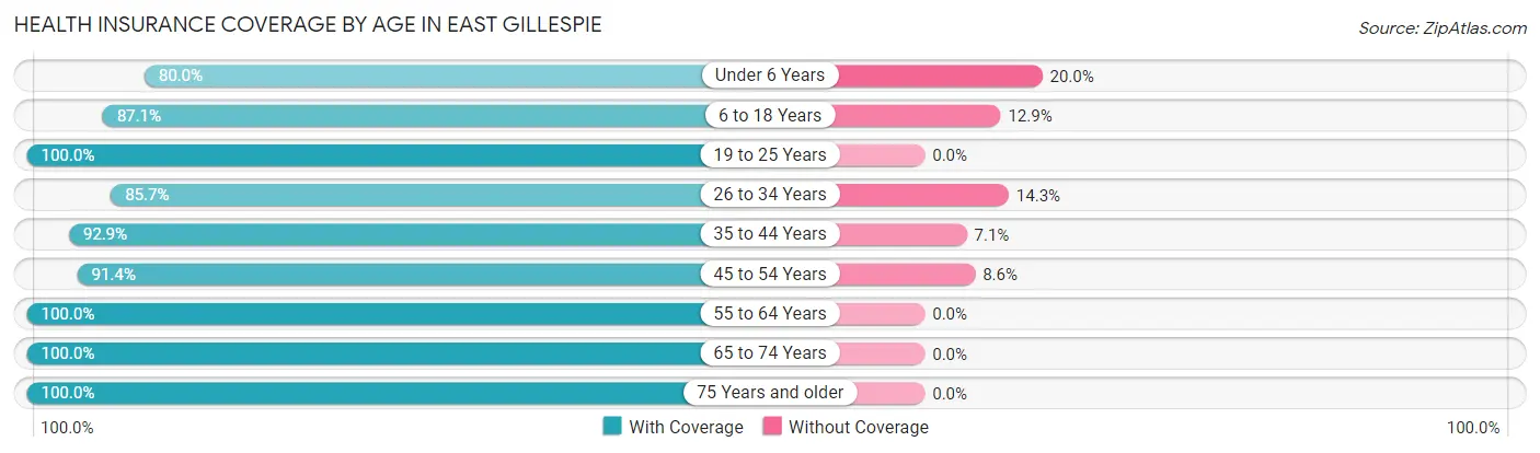 Health Insurance Coverage by Age in East Gillespie
