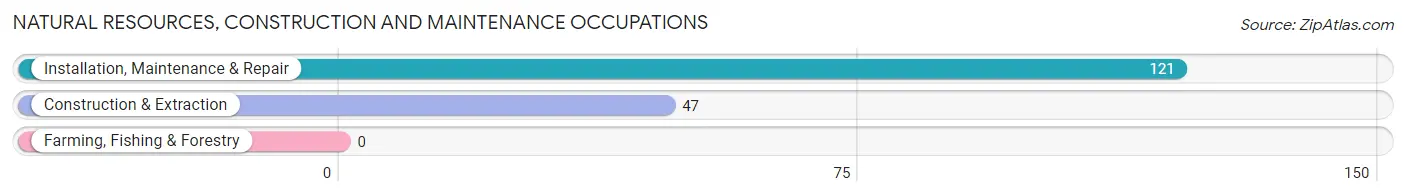 Natural Resources, Construction and Maintenance Occupations in East St Louis