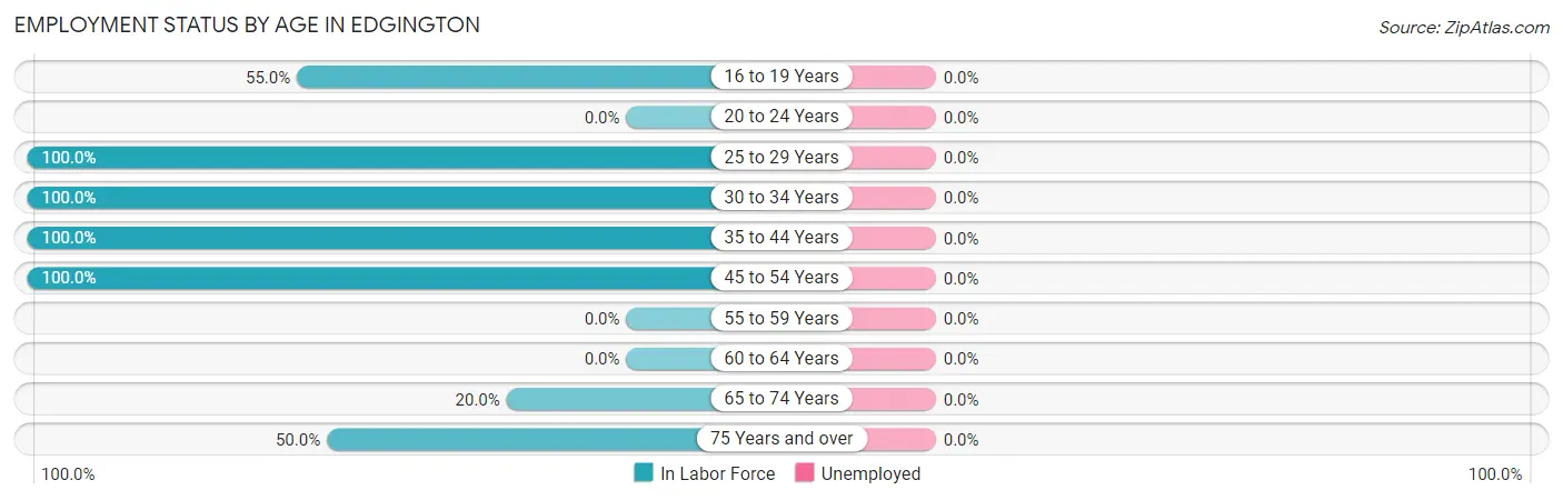 Employment Status by Age in Edgington