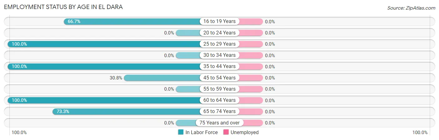 Employment Status by Age in El Dara