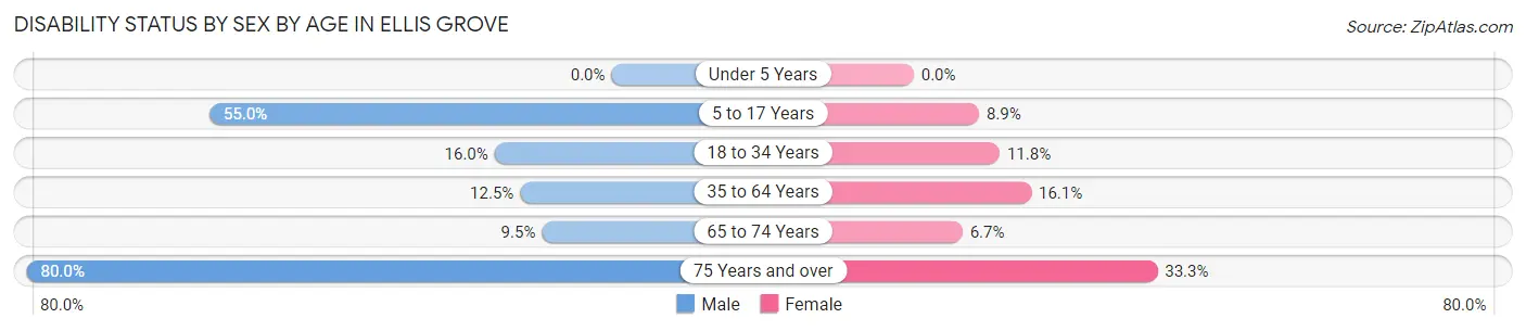 Disability Status by Sex by Age in Ellis Grove