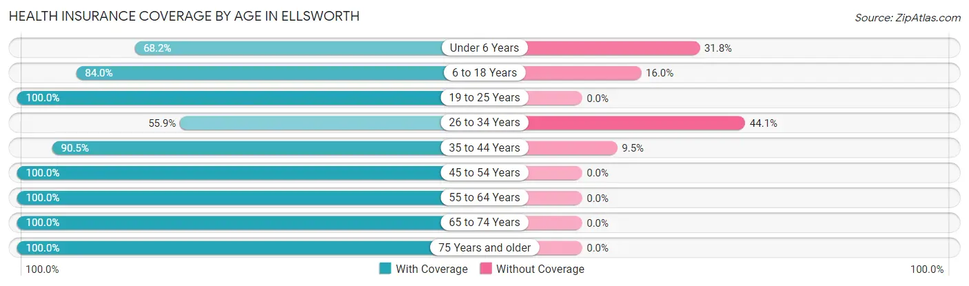 Health Insurance Coverage by Age in Ellsworth