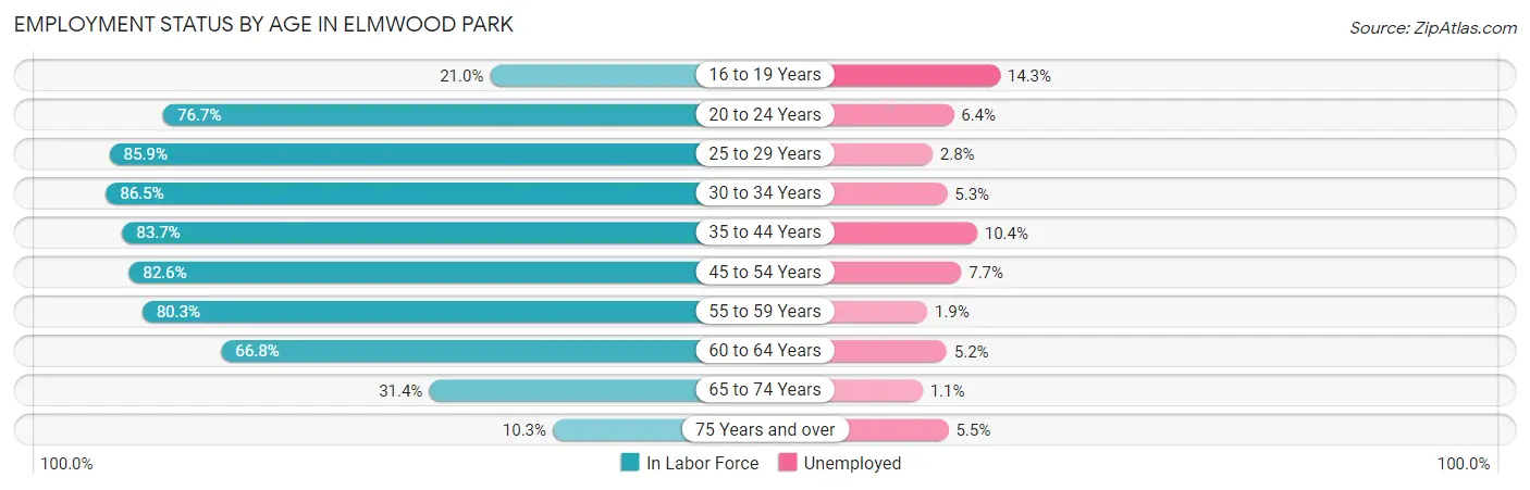 Employment Status by Age in Elmwood Park