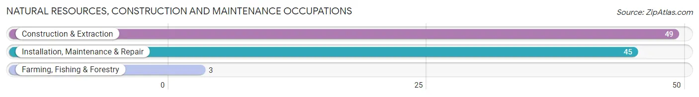 Natural Resources, Construction and Maintenance Occupations in Elmwood