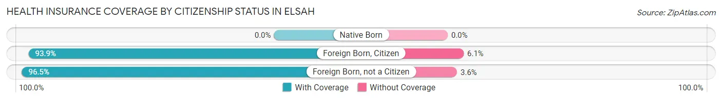 Health Insurance Coverage by Citizenship Status in Elsah