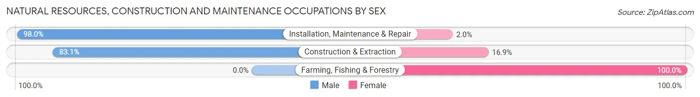 Natural Resources, Construction and Maintenance Occupations by Sex in Evanston