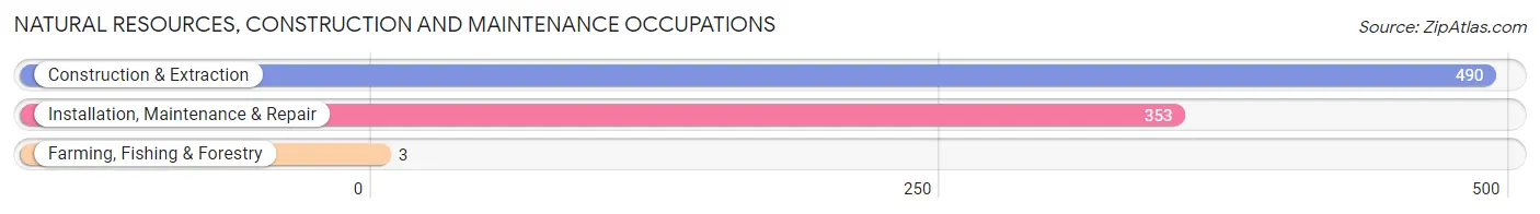 Natural Resources, Construction and Maintenance Occupations in Evanston