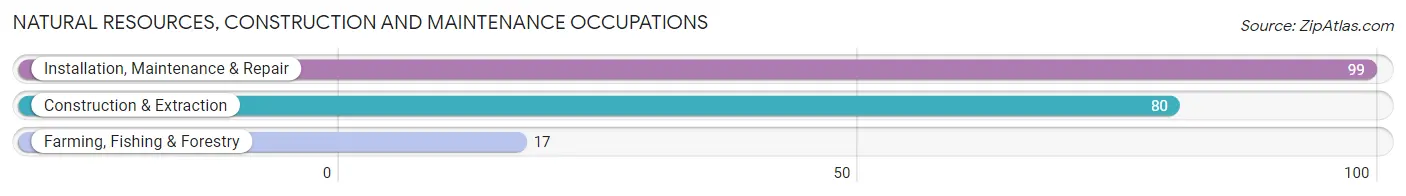 Natural Resources, Construction and Maintenance Occupations in Fairbury