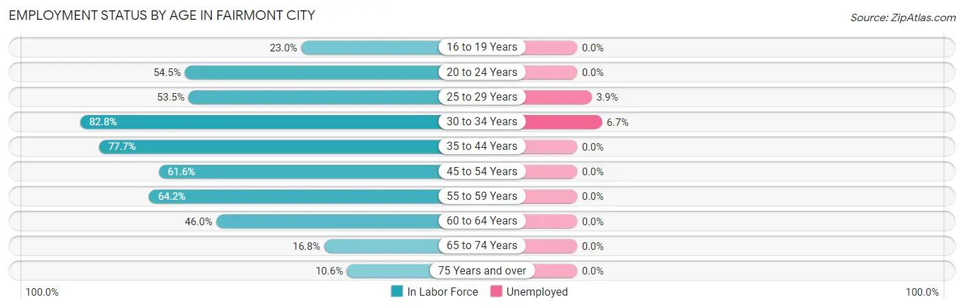 Employment Status by Age in Fairmont City