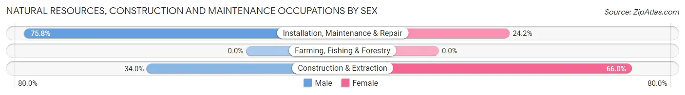 Natural Resources, Construction and Maintenance Occupations by Sex in Fairmont