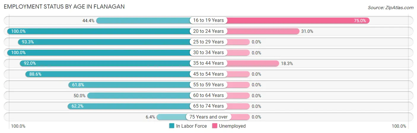 Employment Status by Age in Flanagan