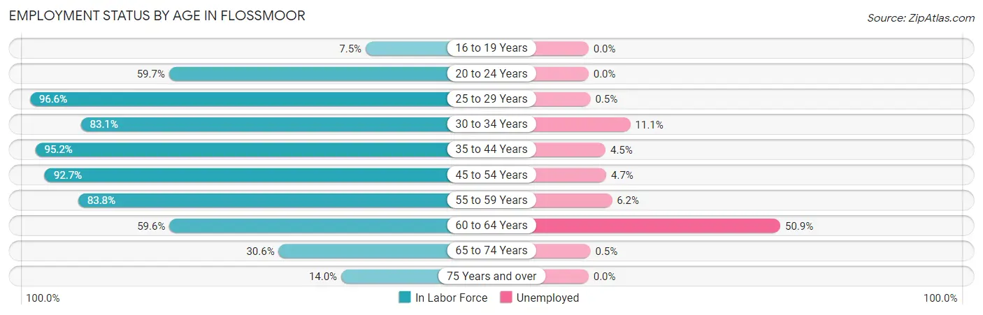 Employment Status by Age in Flossmoor