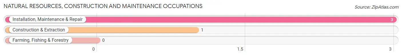 Natural Resources, Construction and Maintenance Occupations in Foosland