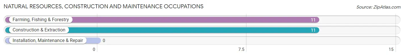 Natural Resources, Construction and Maintenance Occupations in Franklin