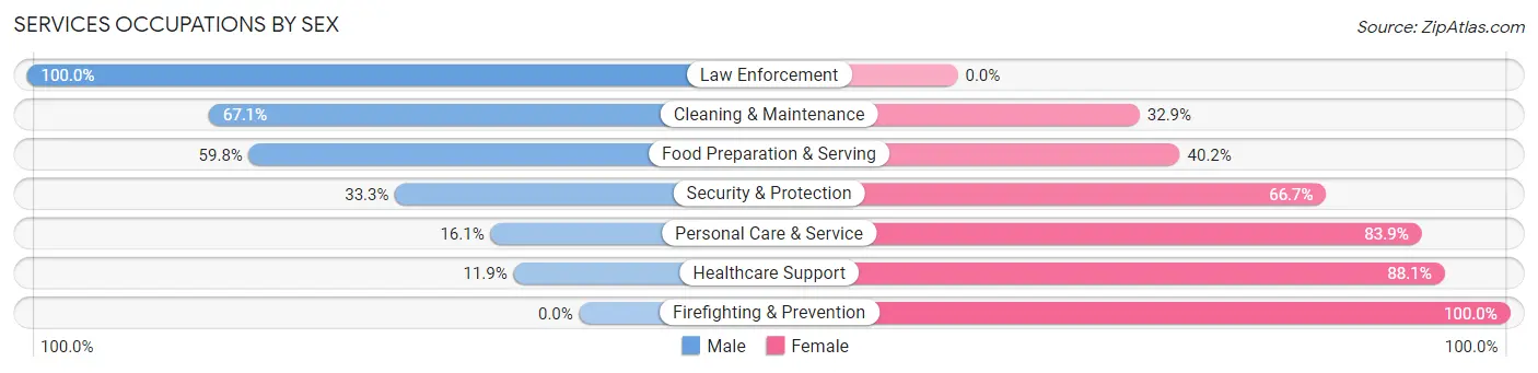 Services Occupations by Sex in Freeport