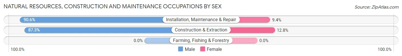 Natural Resources, Construction and Maintenance Occupations by Sex in Geneva