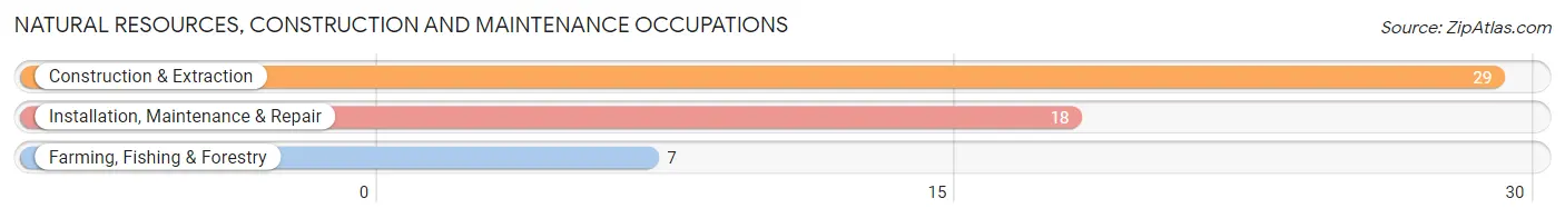 Natural Resources, Construction and Maintenance Occupations in Germantown