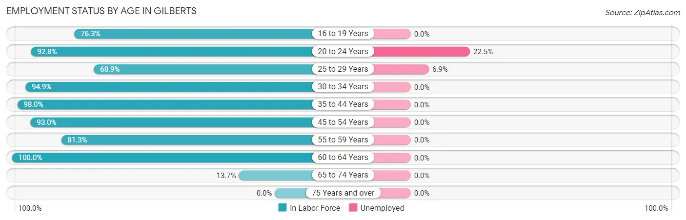 Employment Status by Age in Gilberts