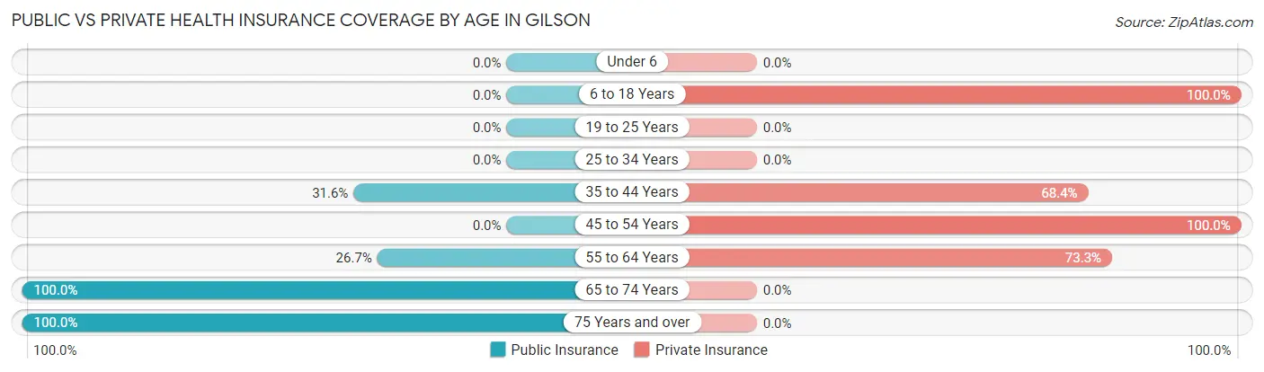Public vs Private Health Insurance Coverage by Age in Gilson